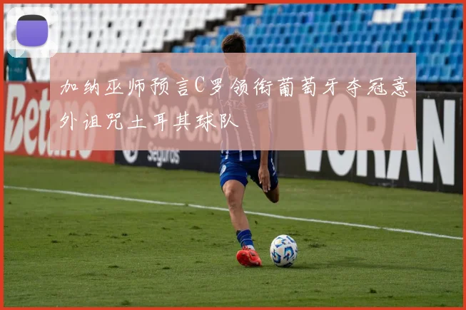 加纳巫师预言C罗领衔葡萄牙夺冠意外诅咒土耳其球队