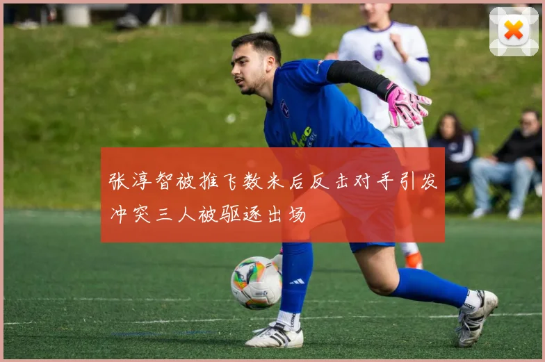 张淳智被推飞数米后反击对手引发冲突三人被驱逐出场