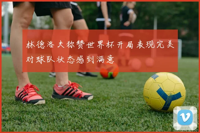 林德洛夫称赞世界杯开局表现完美对球队状态感到满意